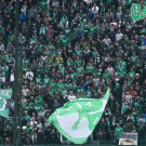 PANATHINAIKOS---pas-giannena_12