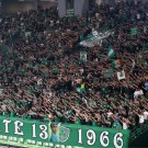 PAO-bayern_03