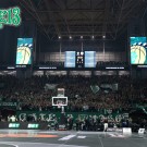 PAO-gay_euroleague_02