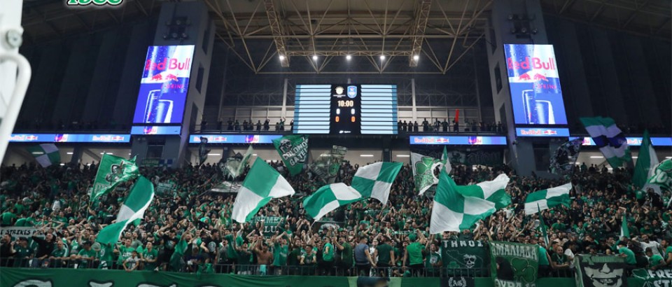 PANATHINAIKOS – anadolu efes