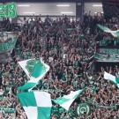 PAO-efes_5th_02