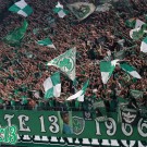 PAO-efes_5th_03