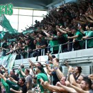PAO_champion-gayros_02