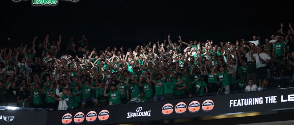 fenerbahce – PANATHINAIKOS