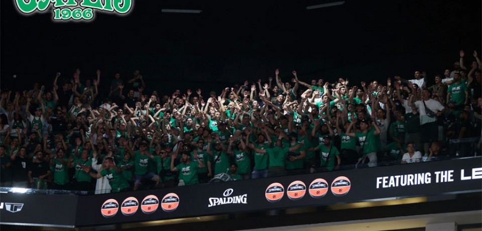 fenerbahce – PANATHINAIKOS