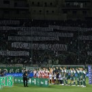 PAO-gauros_01