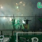 PAO-gauros_02