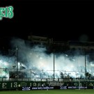 PAO-gauros_03