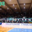 PAO-gaurines_volley1