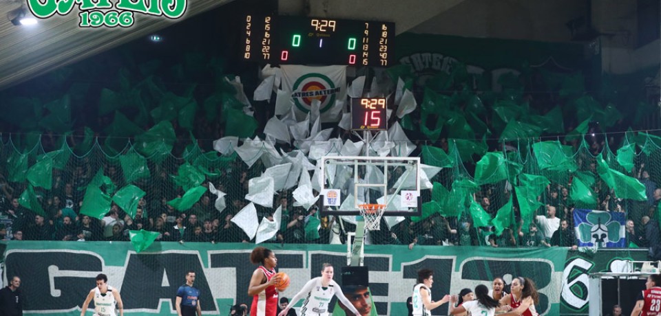 ΠΑΝΑΘΗΝΑΪΚΟΣ – γαυρίνες