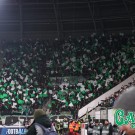 ferencvaros-PAO1