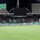 PAO-baok_01