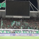 PAO-baok_05